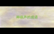 种葫芦的成语