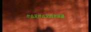 什么又什么又四字成语