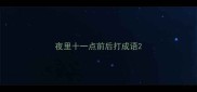夜里十一点前后打成语