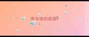 有关珠的成语