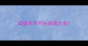 成语水字开头成语大全