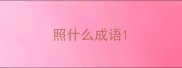 照什么成语