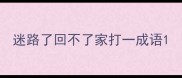 迷路了回不了家打一成语
