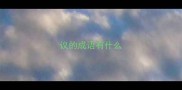 议的成语有什么