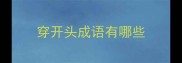 穿开头成语有哪些