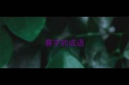 赛字的成语