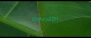 即燃的成语