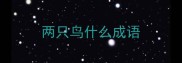 两只鸟什么成语