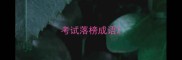 考试落榜成语
