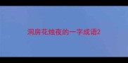 洞房花烛夜的一字成语