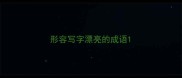 形容写字漂亮的成语