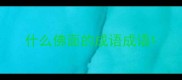 什么佛面的成语成语