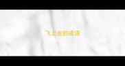 飞上走的成语