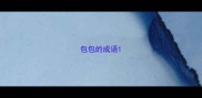 包包的成语