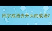 四字成语去开头的成语