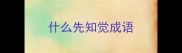 什么先知觉成语