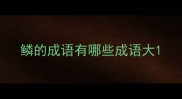 鳞的成语有哪些成语大