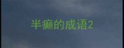 半癫的成语