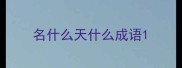 名什么天什么成语