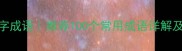 竹子的四字成语推荐100个常用成语详解及文化内涵