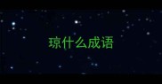琼什么成语