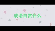 成语自赏什么