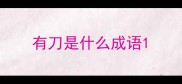 有刀是什么成语