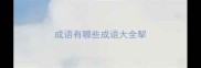 成语有哪些成语大全挈