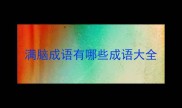 满脑成语有哪些成语大全