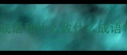 成语和什么致什么成语