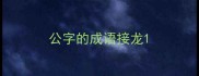 公字的成语接龙