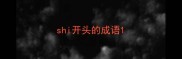 shi开头的成语