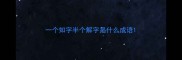 一个知字半个解字是什么成语