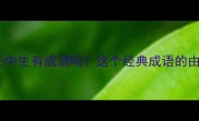 无中生有而之无中生有成语吗这个经典成语的由来及现代应用