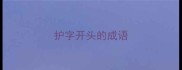 护字开头的成语