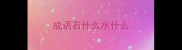 成语石什么水什么