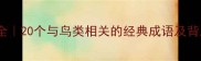 鸟的名称成语大全20个与鸟类相关的经典成语及背后故事附趣味
