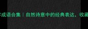 鸟鸣四字成语合集自然诗意中的经典表达收藏备用