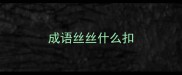 成语丝丝什么扣