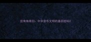 宫商角徵羽中华音乐文明的基因密码