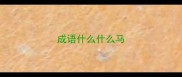 成语什么什么马