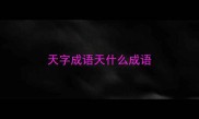 天字成语天什么成语