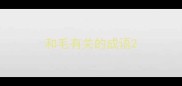 和毛有关的成语