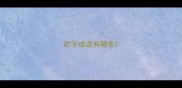 的字成语有哪些