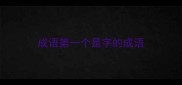 成语第一个是字的成语