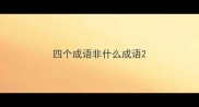 四个成语非什么成语
