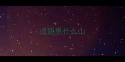 成语恩什么山