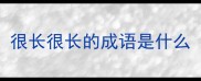 很长很长的成语是什么