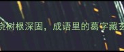 葛藤绕树根深固成语里的葛字藏玄机
