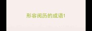 形容阅历的成语